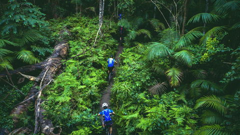 Reef To Reef - Accommodation Daintree 7