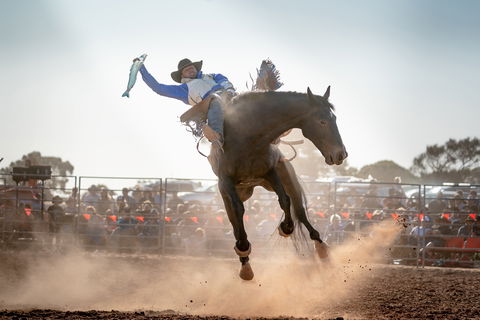 Rodeo By The Sea - Streaky Bay - Accommodation Daintree 0