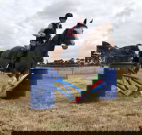 Rouse Roundup - Accommodation Daintree