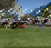 Sakura Matsuri  - Cherry Blossom Festival - in doubt due to Covid-19 - Accommodation Daintree