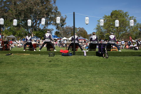 Sakura Matsuri  - Cherry Blossom Festival - In Doubt Due To Covid-19 - Accommodation Daintree 0