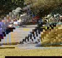 Sculpture for Clyde - Outdoor Exhibition - Accommodation Daintree