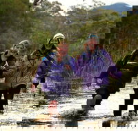 Serra Terror - Accommodation Daintree