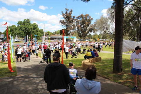 Taste Coleambally- Food And Farm Festival - Accommodation Daintree 1