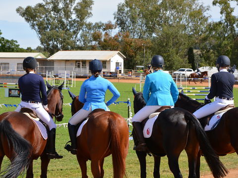 The Gunnedah Show - Accommodation Daintree 2