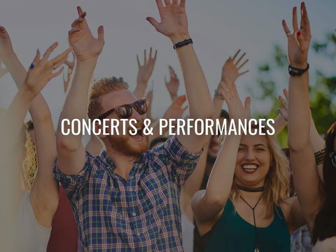 Van The Man - Accommodation Daintree 0