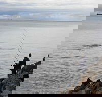 Whale Watching in Portland - Accommodation Daintree