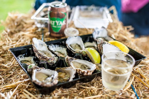 Narooma Oyster Festival - Accommodation Daintree 1