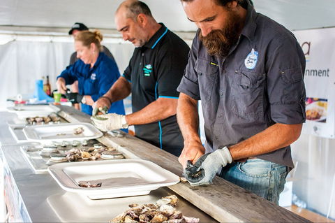 Narooma Oyster Festival - Accommodation Daintree 2