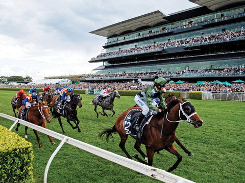 The Everest - Accommodation Daintree 0