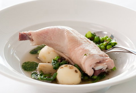 ROCKET Restaurant - Accommodation Daintree 3