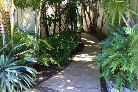 Aqualuna Beach Resort - Accommodation Daintree 1