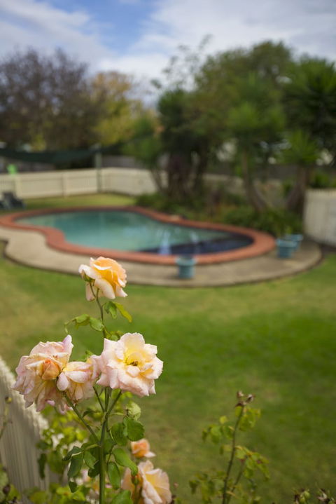 Rose Garden Motel - Accommodation Daintree 3
