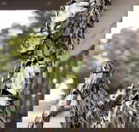 Best Western Sanctuary Inn