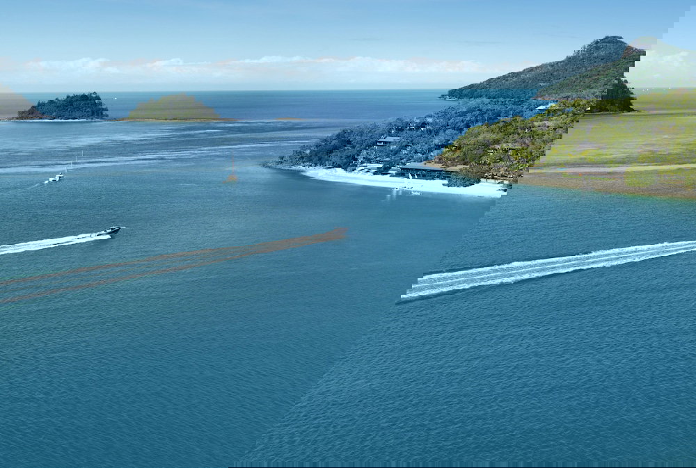 Hamilton Island QLD Accommodation Daintree