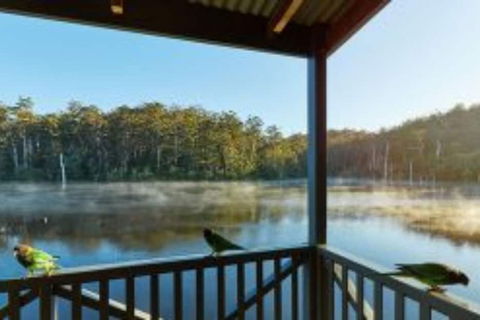 RAC Karri Valley Resort - Accommodation Daintree 5