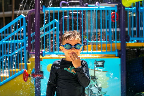 Paradise Resort Gold Coast - Accommodation Daintree 4