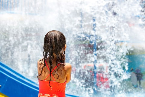 Paradise Resort Gold Coast - Accommodation Daintree 5