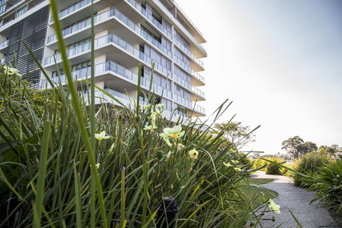 ULTIQA Freshwater Point Resort - Accommodation Daintree 4