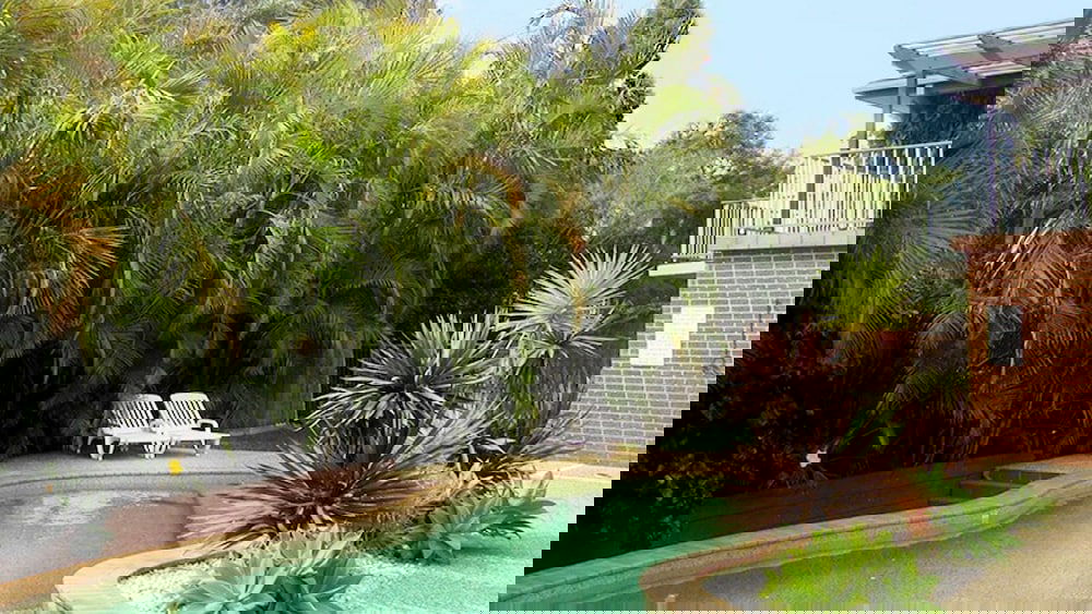 Port Macquarie NSW Accommodation Daintree