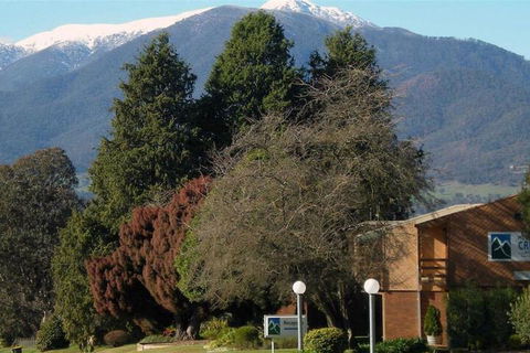 Mountain Creek Motel - Accommodation Daintree 5