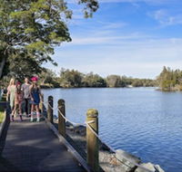 Discovery Parks - Forster - Accommodation Daintree