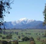 Off Mountain Accommodation - Accommodation Daintree