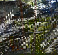 ecOasis Resorts - Accommodation Daintree