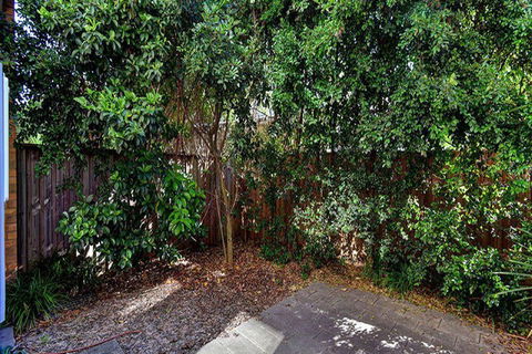 Aqua Viva 2 - Accommodation Daintree 1