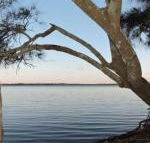 Waterfront Jervis Bay Escape Cooinda - Accommodation Daintree