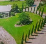 Gaerwood B  B - Accommodation Daintree
