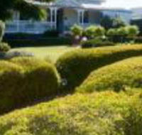 Whiskey Gully Wines - Accommodation Daintree