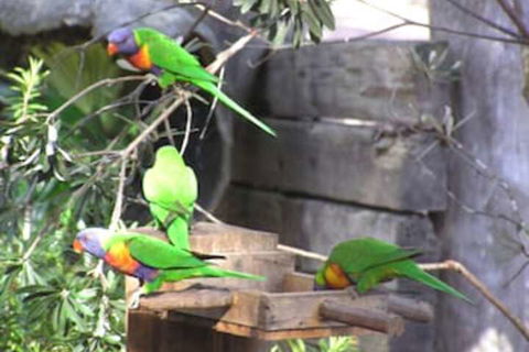 Kianinny Bush Cottages - Accommodation Daintree 1