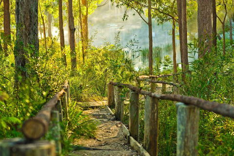 Kianinny Bush Cottages - Accommodation Daintree 7