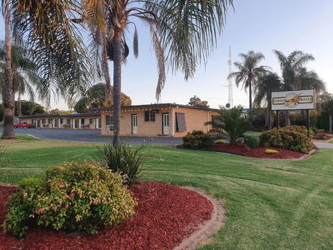 Temora Motel - Accommodation Daintree 4