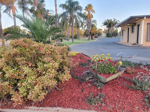 Temora Motel - Accommodation Daintree 6