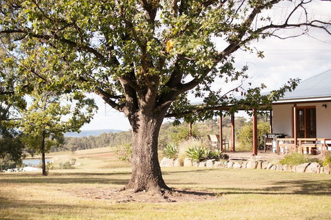 Audrey Wilkinson Vineyard - Accommodation Daintree 2