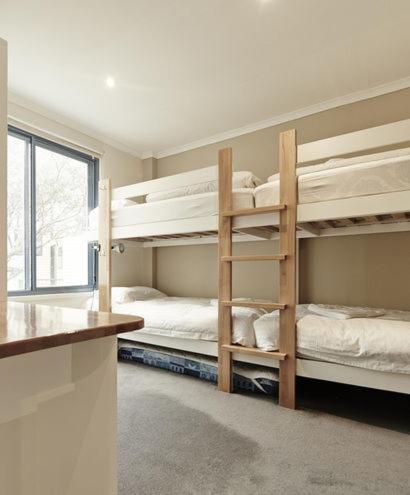 Valley View 203 - Accommodation Daintree 4