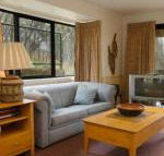 Discobolus 2 - Accommodation Daintree