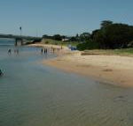 Black Dolphin Waterfront Apartment