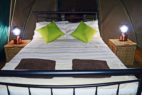 Nulla Nulla Farm Retreat - Accommodation Daintree 7