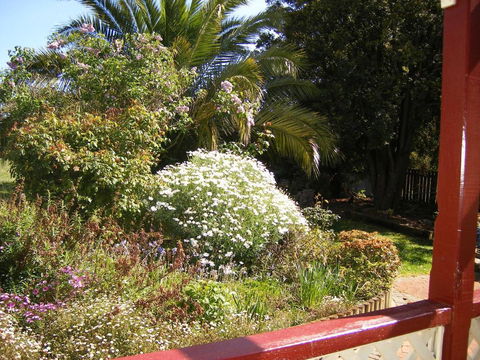 Belle Cottage - Accommodation Daintree 1