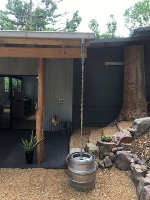 Avoca Beach & Bush - Accommodation Daintree 2