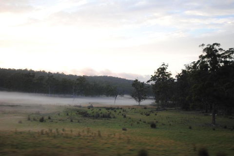 A Slice Of Paradise - Accommodation Daintree 3