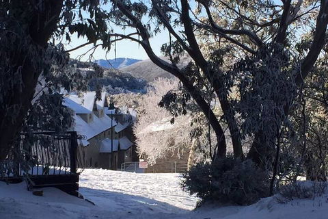 Snowflake 12 - Accommodation Daintree 6