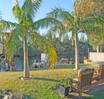 The Oasis on Jacobs Drive - Accommodation Daintree