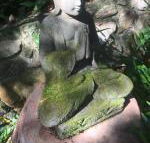 The Tree House. Treetop living near the ocean Coolum Beach QLD Australia