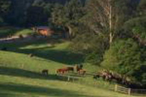 Amaroo Valley Springs - Accommodation Daintree 0
