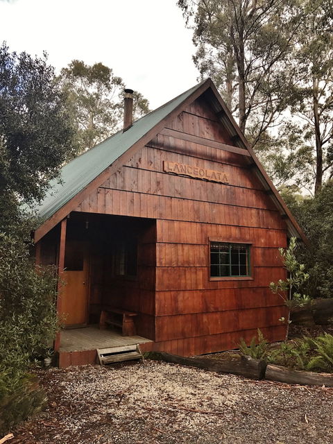 Cradle Mountain Highlanders Cottages - Accommodation Daintree 4