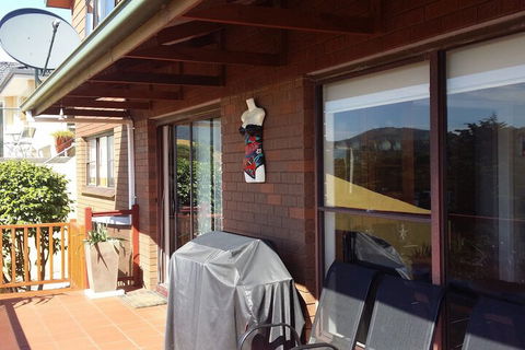 High On Penguin - Accommodation Daintree 7